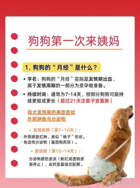 孕妇梦到黄狗是什么意思_胎梦解析与心理暗示