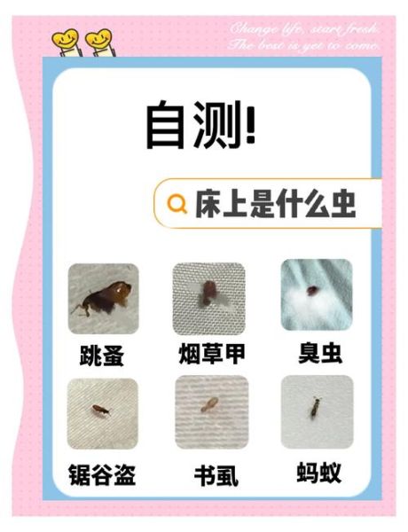 梦到虫子是什么意思_梦见虫子爬满身怎么办