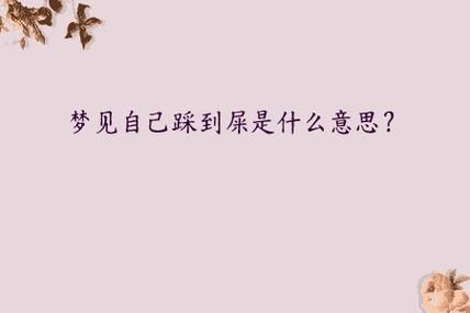 梦到踩屎是什么意思_踩屎梦境预示什么