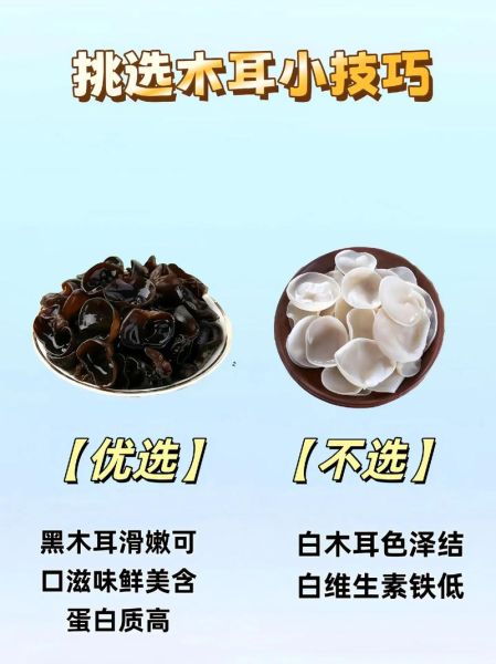 木耳图片大全_如何挑选优质黑木耳