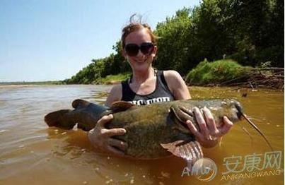 梦到抓到鱼是什么意思_梦见抓鱼好不好