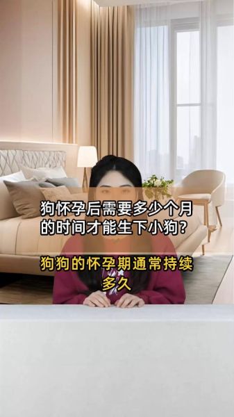 狗狗多久生宝宝_母犬怀孕周期多久