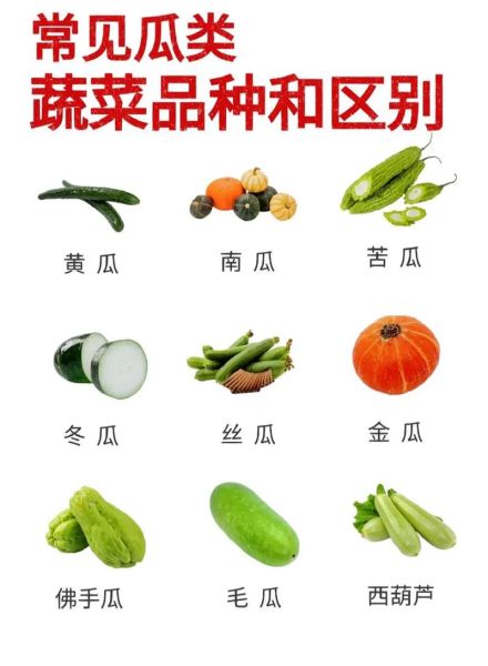 蔬菜大全图片和名字_蔬菜种类有哪些