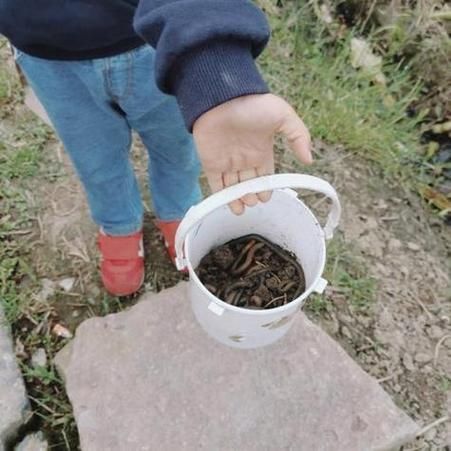 梦到很多蚯蚓是什么意思_梦见蚯蚓吉凶解析