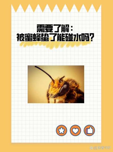 梦到被蜜蜂蛰是什么意思_被蜜蜂蛰梦境解析