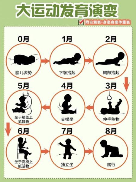 六月龄宝宝发育标准_六个月宝宝不会翻身正常吗