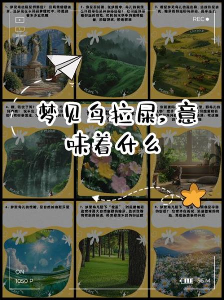 梦到鸟屎是什么意思_梦到鸟屎代表什么预兆