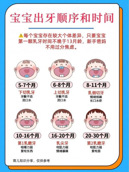宝宝长牙了怎么办_宝宝长牙顺序