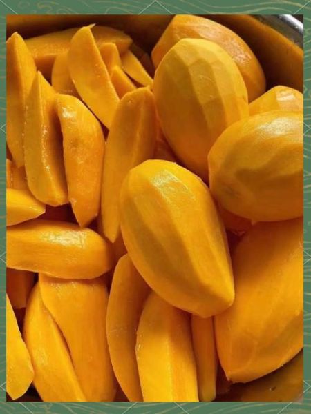 梦到摘芒果吃是什么意思_梦见芒果熟了摘来吃好吗