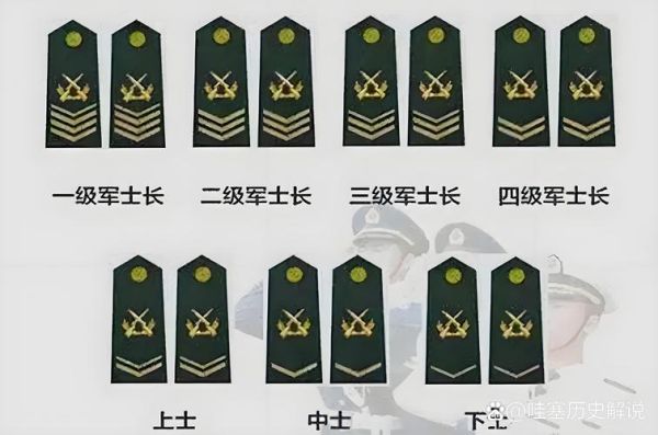 军人胸章图片大全_如何识别军衔等级