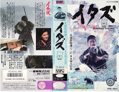 熊片迅雷下载_安全吗