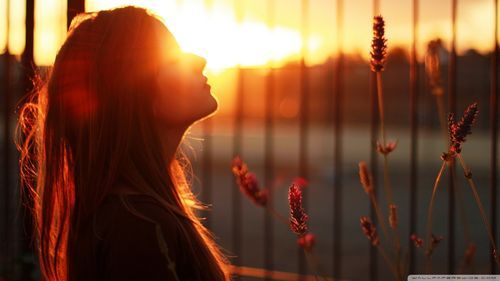 情迷六月花迅雷下载_哪里能看高清完整版