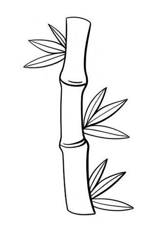 小学生画竹子图片大全_怎么画简单又好看