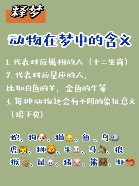 梦到宠物是什么意思_梦见宠物死了怎么办