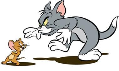 梦到猫捉老鼠是什么意思_梦见猫抓老鼠预示什么