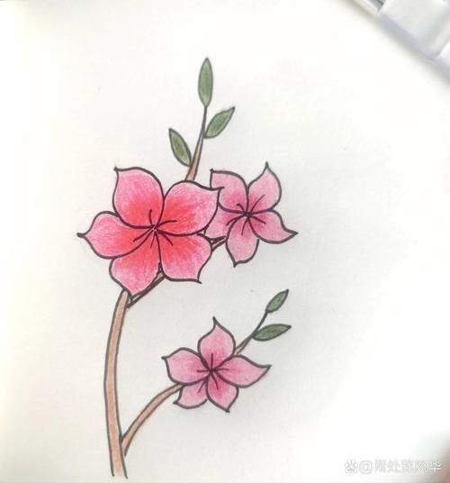 小花简笔画怎么画_小花简笔画图片大全