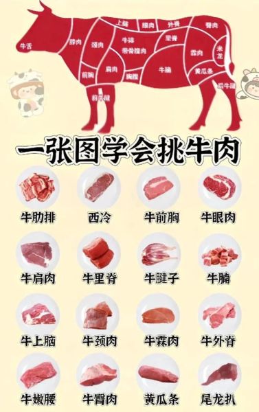牛肉图片大全高清图片_如何挑选优质牛肉图解