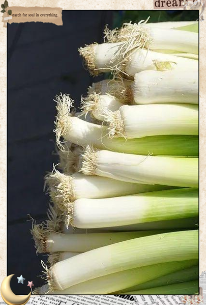 梦到葱是什么意思_梦见葱预示什么