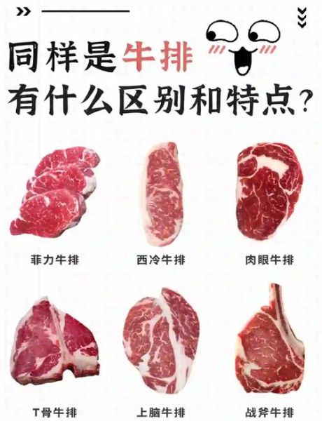 牛排图片大全高清图片_如何挑选牛排