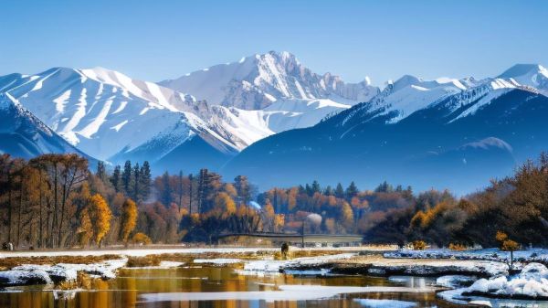 白雪的图片大全_如何找到高清原图