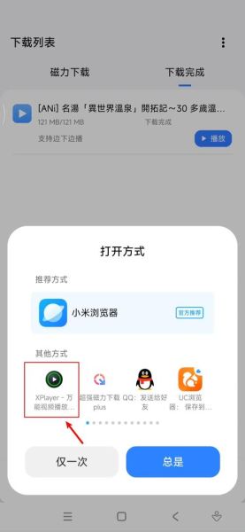 代替迅雷的下载工具_有哪些高速BT磁力软件