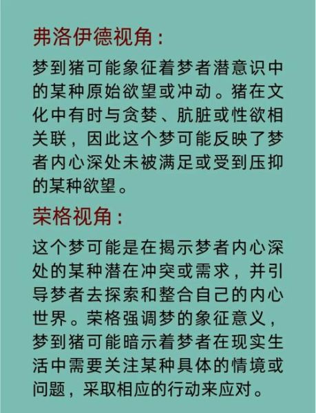 梦到一群猪是什么意思_梦见很多猪预示着什么