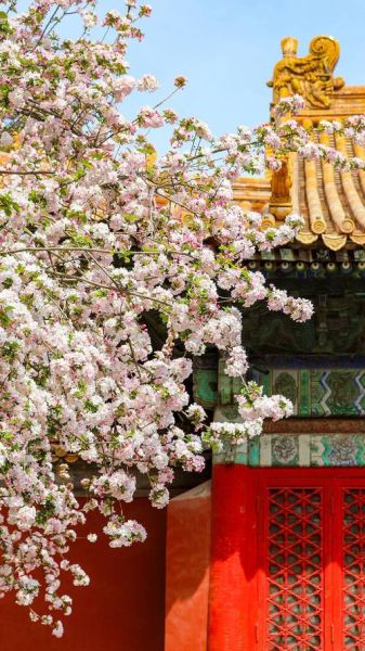 故宫图片大全_高清壁纸怎么找