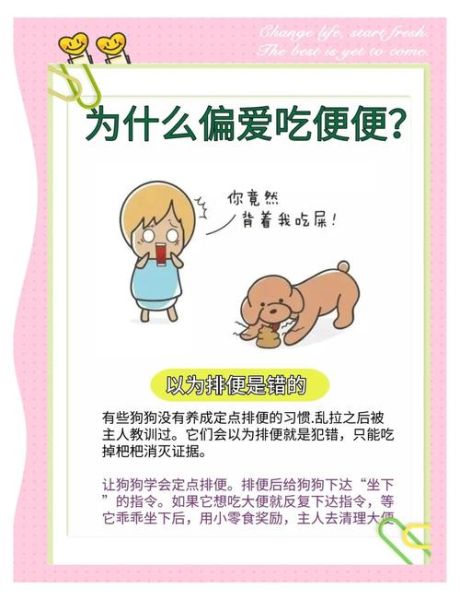 狗为什么吃屎_狗吃屎图片大全