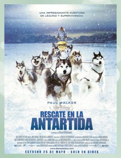 迅雷狗狗电影下载_迅雷狗狗还能用吗