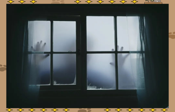 梦到被偷是什么意思_如何化解不安