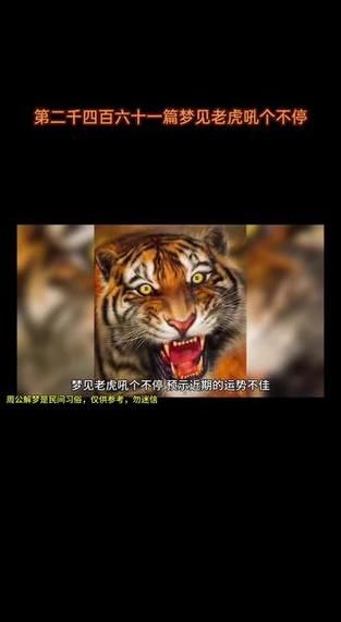 梦到老虎狮子一起出现_周公解梦