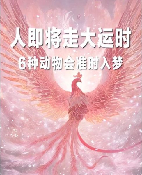 梦到一条龙是什么意思_龙在梦里代表什么