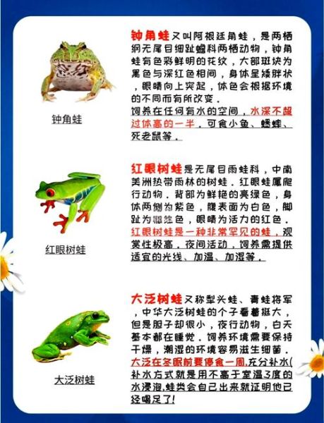 蛙类大全图片及名称_如何快速识别常见蛙种