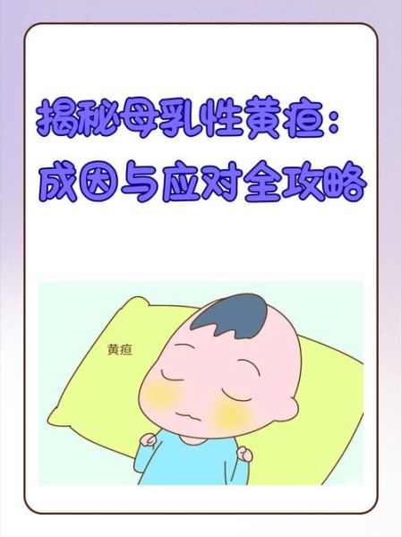 70天黄疸还没退正常吗_母乳性黄疸最晚多久退