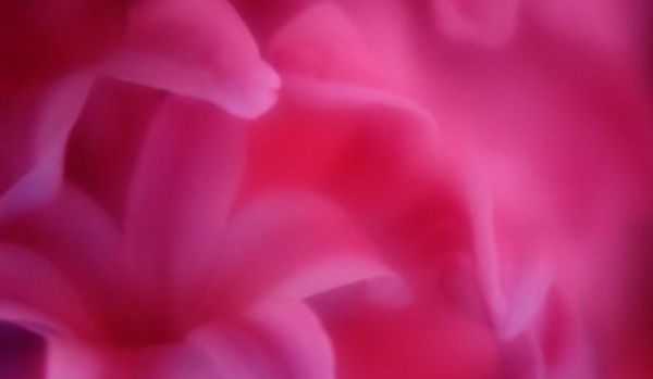 桃色迅雷下载安全吗_桃色迅雷下载最新地址