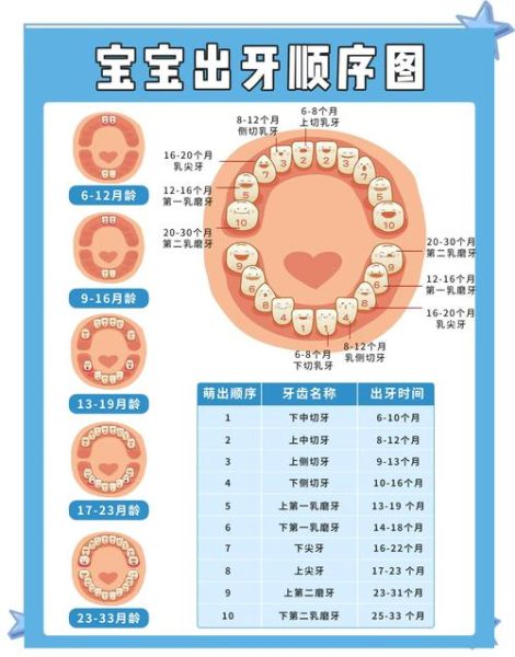 宝宝几个月开始长牙_长牙晚正常吗