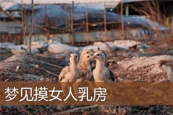 梦到男人没穿衣服_周公解梦准吗