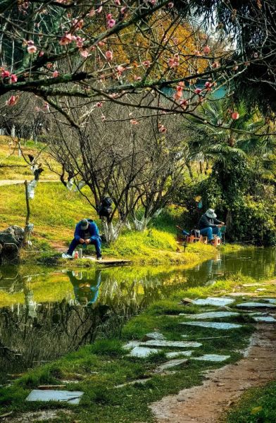 悠闲的图片大全哪里找_如何下载高清无水印