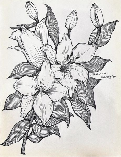 线描画图片大全_线描画适合初学者吗