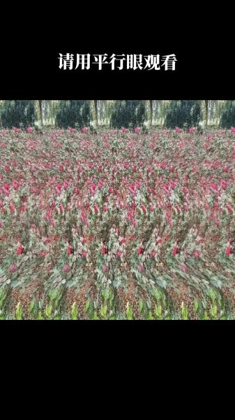 三维图片大全有答案_如何快速找到高清资源