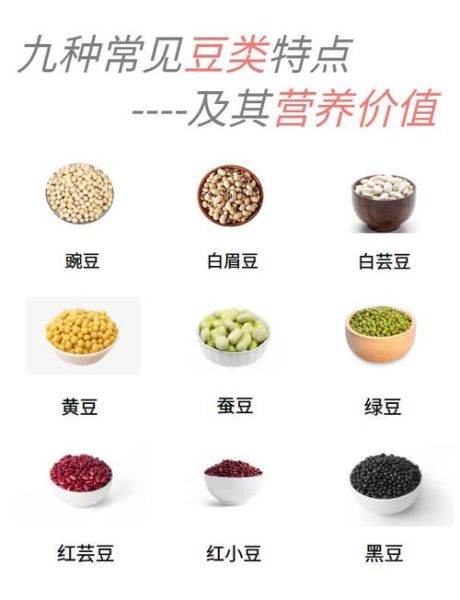 豆类图片大全大图_如何分辨常见豆类品种