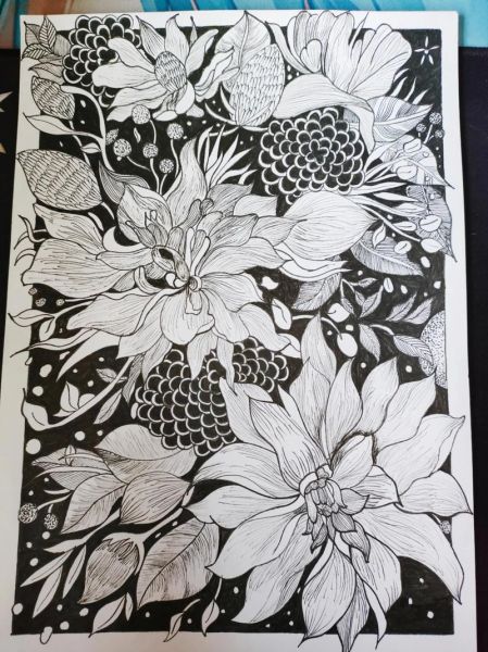 线描画图片大全_线描画适合初学者吗