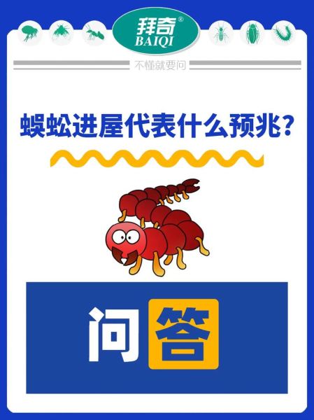 梦到蜈蚣是什么意思_梦见蜈蚣爬身上预示什么