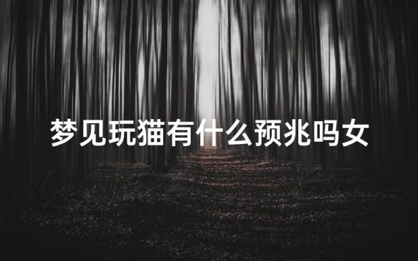 梦到买猫是什么意思_梦到买猫预示什么