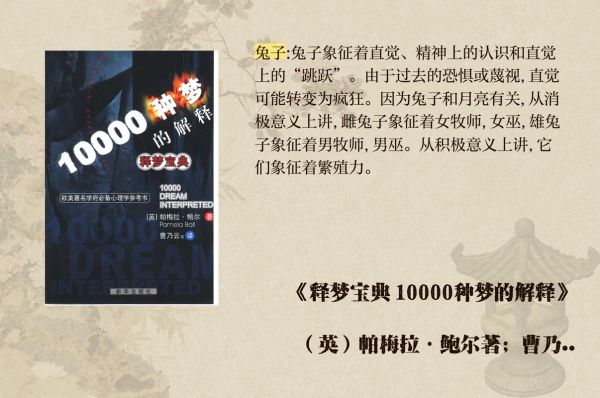 梦到一只兔子是什么意思_兔子梦境解析