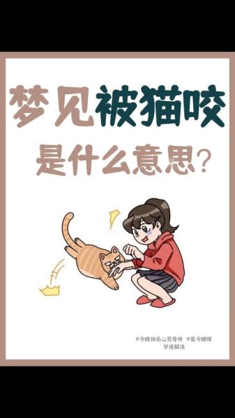 梦到猫是什么意思_梦到猫预示着什么