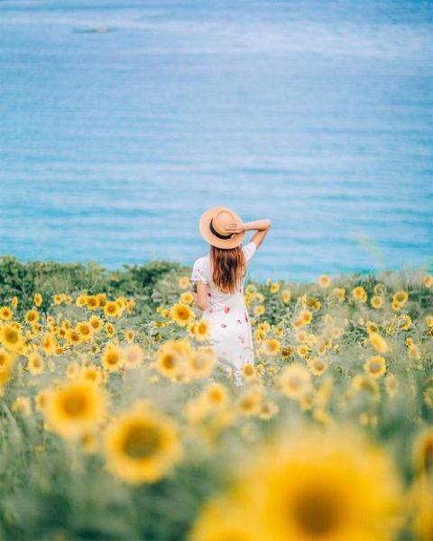 优美图片大全哪里找_如何免费下载高清图