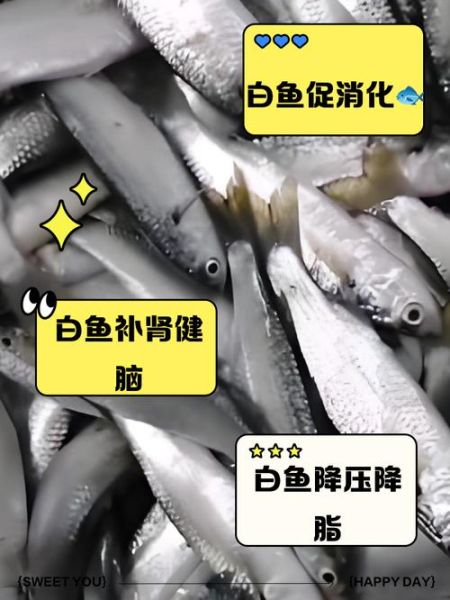 梦到白色的鱼是什么意思_白色鱼梦境解析