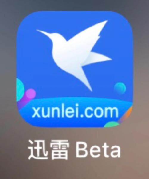 VR迅雷下载_如何找到高清资源