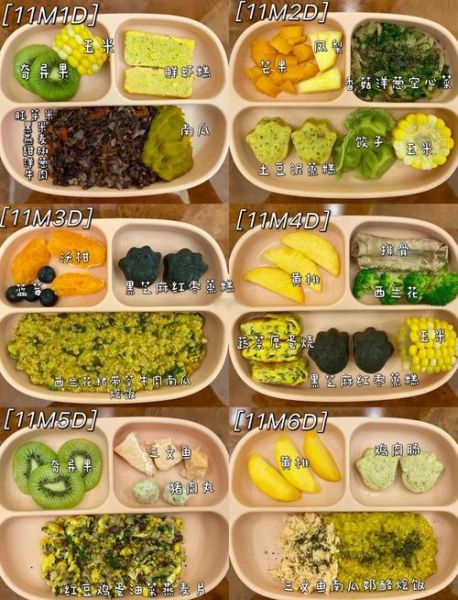 11个月宝宝辅食食谱大全_怎么做才营养又简单